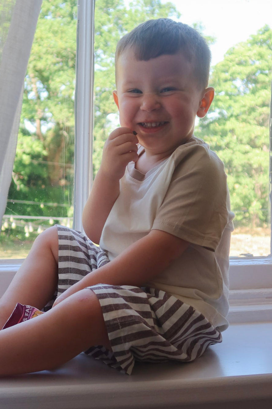 Brown Striped Cotton Shorts