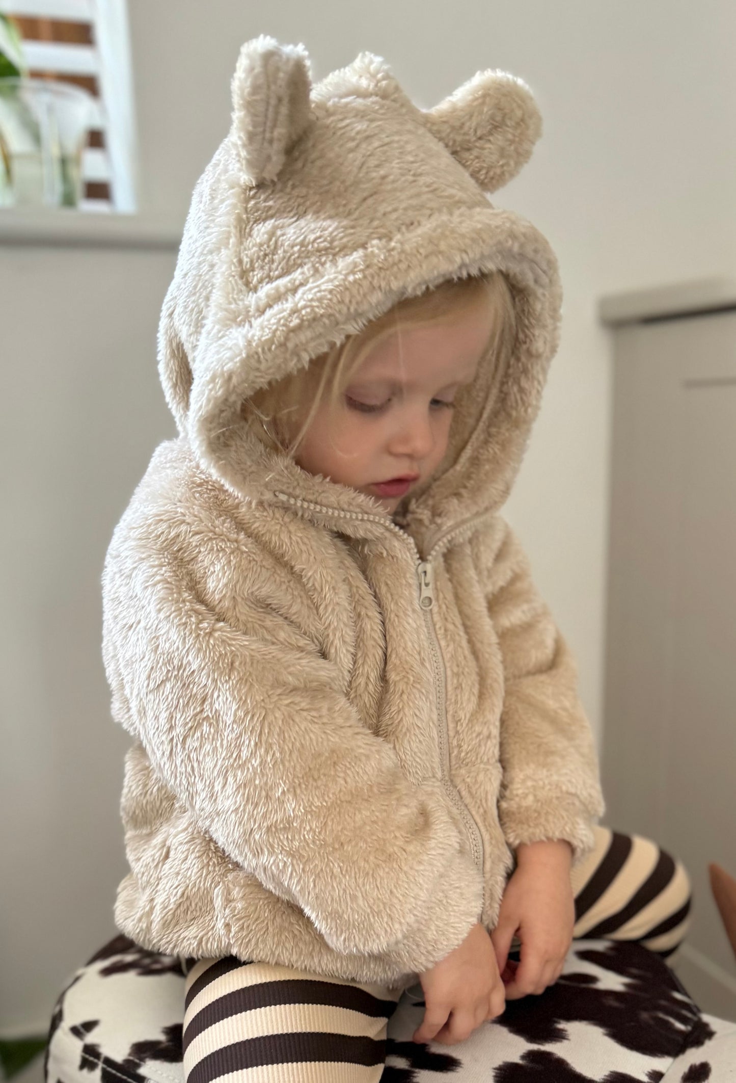 Teddy Bear Jumper in Brown